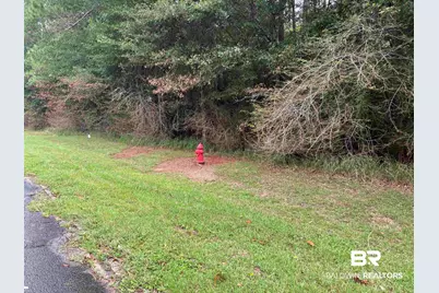 Lot 8 County Road 48, Robertsdale, AL 36567 - Photo 1