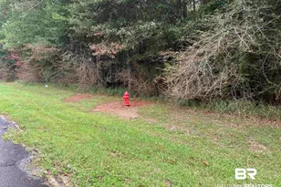 Lot 8 County Road 48, Robertsdale, AL 36567 - Photo 1