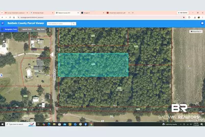 Lot 8 County Road 48, Robertsdale, AL 36567 - Photo 5