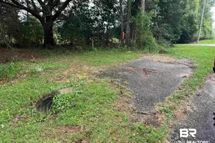 Lot 9 County Road 48, Robertsdale, AL 36567 - Photo 1