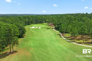 32700 Steelwood Ridge Rd, Loxley, AL 36551 - Photo 3