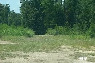 29863 Co Rd 87, Robertsdale, AL 36567 - Photo 29