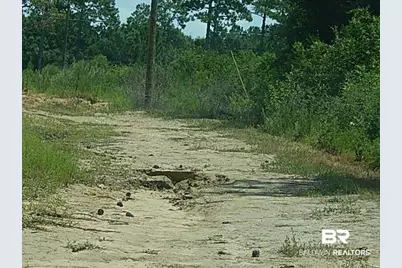 29863 County Road 87, Robertsdale, AL 36567 - Photo 27