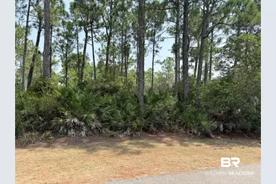 0 Lake Shore Drive, Gulf Shores, AL 36542 - Photo 5