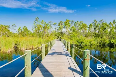 12 The Battery, Orange Beach, AL 36561 - Photo 57
