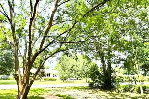 423 W Marigold Ave, Foley, AL 36535 - Photo 43