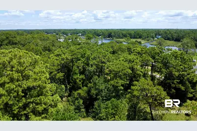 0 Piney Woods Road, Foley, AL 36535 - Photo 3