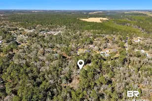 12344 Fernwood Cir, Foley, AL 36535 - Photo 55