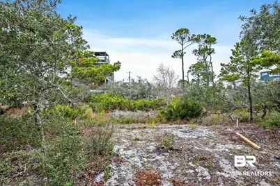 0 Zeanah Road, Gulf Shores, AL 36542 - Photo 5