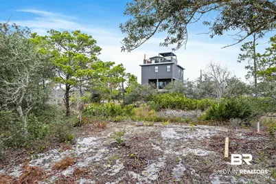 0 Zeanah Road, Gulf Shores, AL 36542 - Photo 7