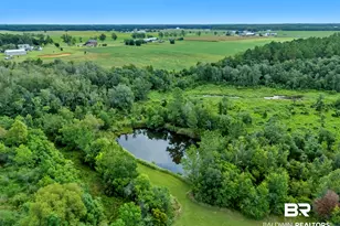 26943 Frank Rd, Elberta, AL 36530 - Photo 83