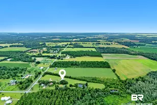 26943 Frank Rd, Elberta, AL 36530 - Photo 69
