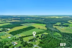 26943 Frank Rd, Elberta, AL 36530 - Photo 67