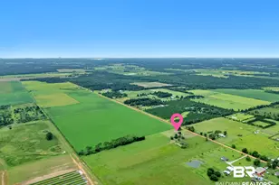 15850 Boros Rd, Elberta, AL 36530 - Photo 41
