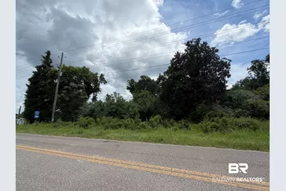 Lot 1 Highway 99 A, Walnut Hill, FL 32568 - Photo 5