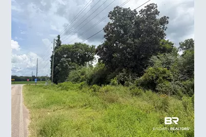 Lot 1 Highway 99 A, Walnut Hill, FL 32568 - Photo 3