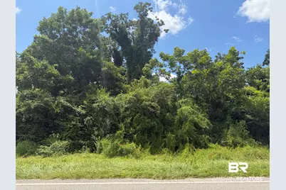 Lot 1 Highway 99 A, Walnut Hill, FL 32568 - Photo 9