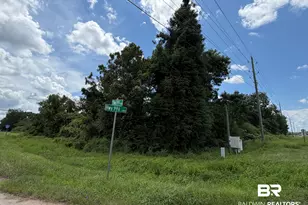 Lot 1 Hwy 99 A, Walnut Hill, FL 32568 - Photo 1