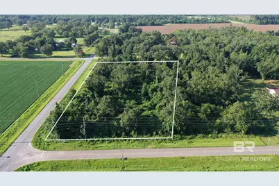 0 Highway 99 A, Walnut Hill, FL 32568 - Photo 3