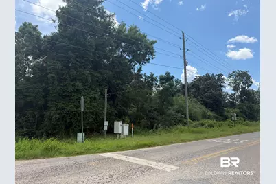 Lot 1 Highway 99 A, Walnut Hill, FL 32568 - Photo 7