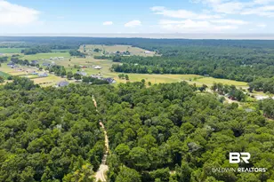 12449 Bay Rd, Foley, AL 36535 - Photo 33
