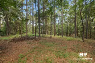 7165 Colonel Greirson Dr, Spanish Fort, AL 36527 - Photo 39