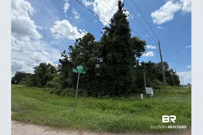 Lot 2 Highway 99, Walnut Hill, FL 32568 - Photo 9