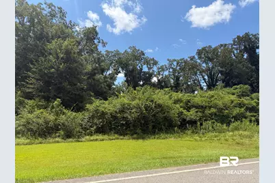 Lot 2 Highway 99, Walnut Hill, FL 32568 - Photo 5