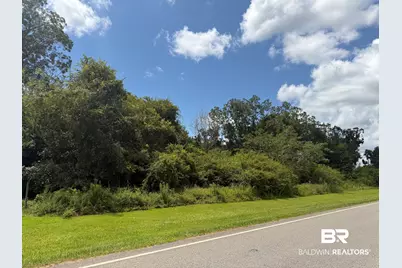 Lot 3 Highway 99, Walnut Hill, FL 32568 - Photo 5