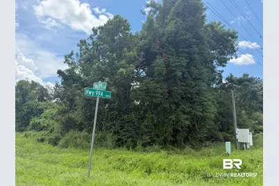 Lot 3 Highway 99, Walnut Hill, FL 32568 - Photo 3