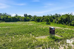 8794 Baptist Camp, Elberta, AL 36530 - Photo 73