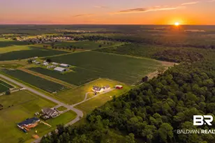 8794 Baptist Camp, Elberta, AL 36530 - Photo 11