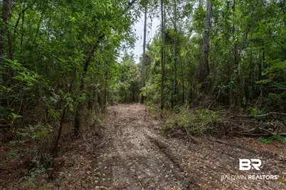 24958 County Road 71, Robertsdale, AL 36567 - Photo 17