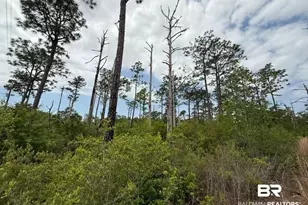 6589-1 Aegean Dr, Milton, FL 32583 - Photo 1
