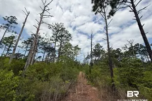 6589-2 Aegean Dr, Milton, FL 32583 - Photo 1