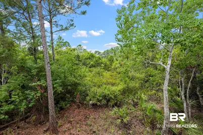31 Parks Edge, Orange Beach, AL 36561 - Photo 41