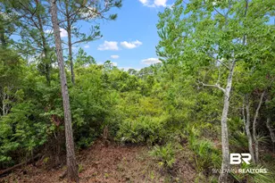 31 Parks Edge, Orange Beach, AL 36561 - Photo 41