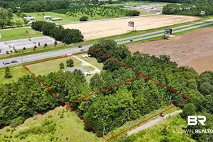 12704 Foley Beach Express, Foley, AL 36535 - Photo 5