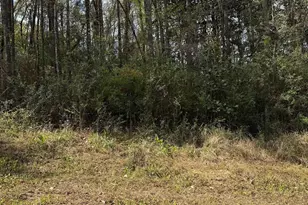 119 Woodside Dr, Daphne, AL 36526 - Photo 1