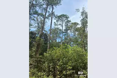 0 Highway 168, Century, FL 32535 - Photo 9