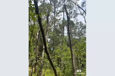 0 Highway 168, Century, FL 32535 - Photo 5