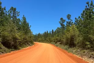 0 Hwy 168, Century, FL 32535 - Photo 1