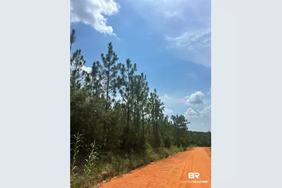0 Highway 168, Century, FL 32535 - Photo 7