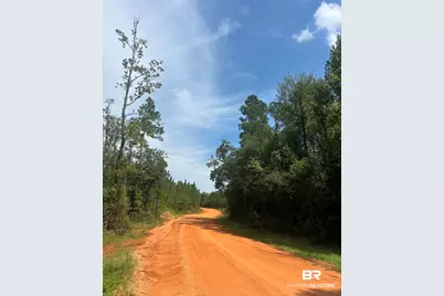 0 Highway 168, Century, FL 32535 - Photo 17