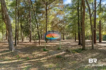 30794 Pine Street, Perdido Beach, AL 36530 - Photo 57