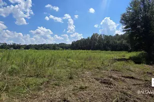 21373 Ima Brill Loop, Robertsdale, AL 36567 - Photo 1