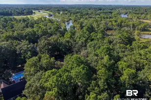 3415 N Riviere Du Chien Loop, Mobile, AL 36693 - Photo 35
