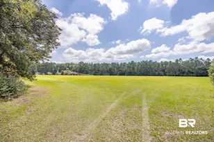 14000 Boros Rd, Elberta, AL 36530 - Photo 31