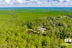 16401 Durban Fork Rd, Bay Minette, AL 36507 - Photo 5