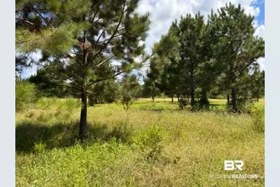 0 Boros Road #parcel C, Elberta, AL  - Photo 1
